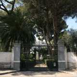 Foto 11. Sulla destra invece domina la signorile villa Lorusso, circondata da alberi ad alto fusto e palme 